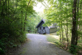 Lil' Smoky Studio by Stony Brook Cabins